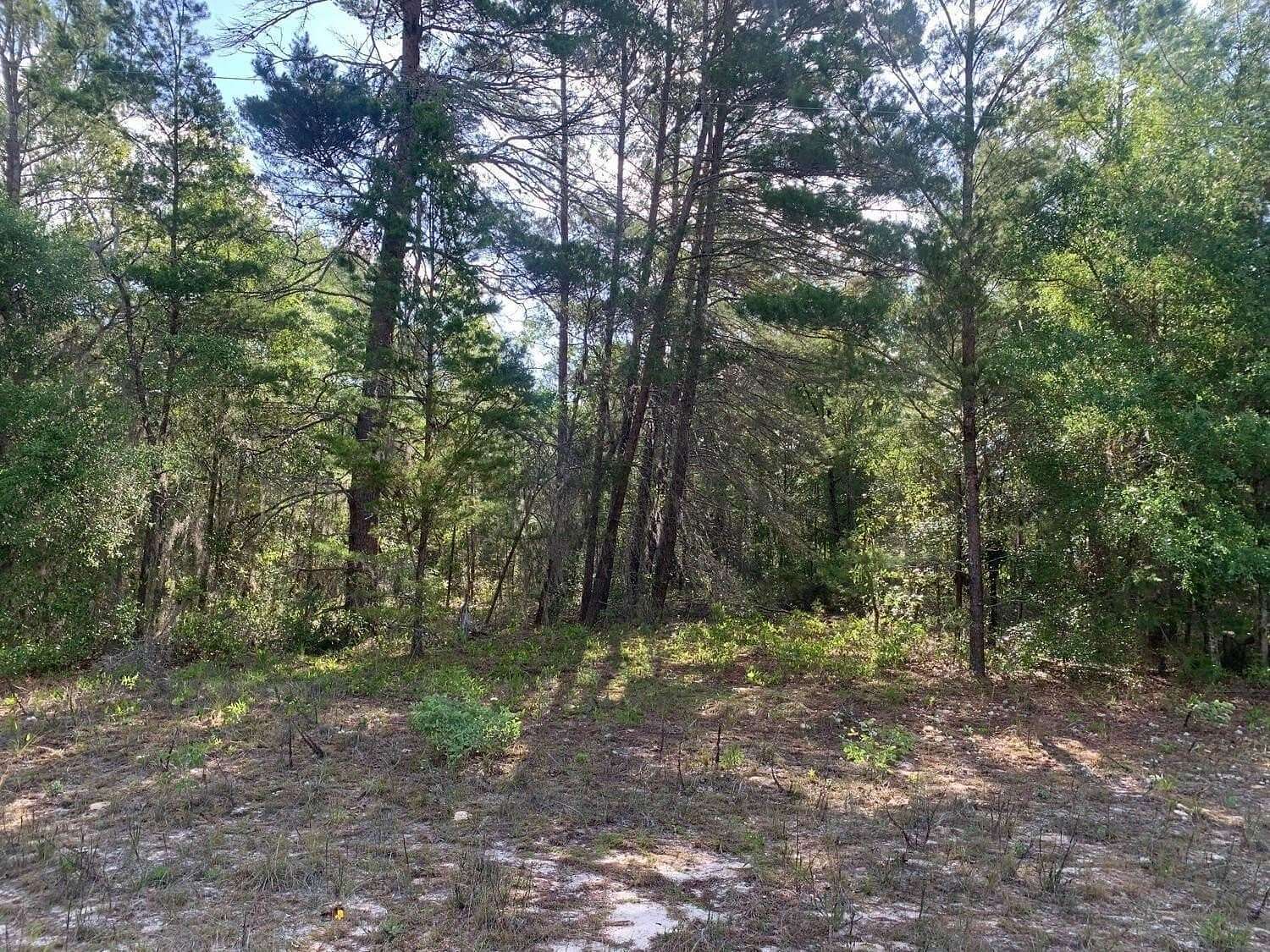 0.22 Acres of Residential Land for Sale in Interlachen, Florida