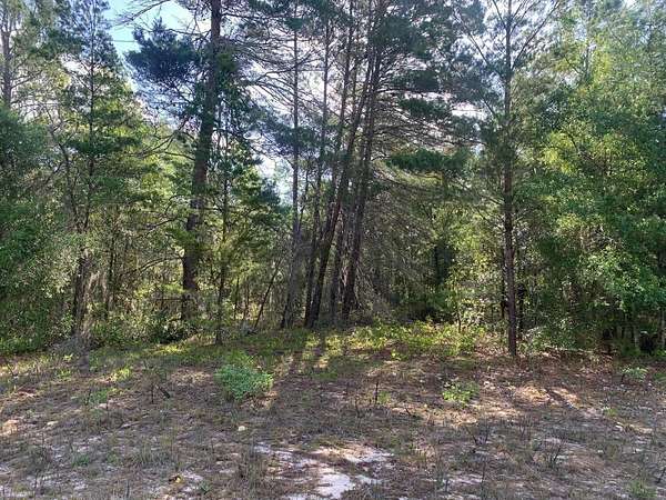 0.22 Acres of Residential Land for Sale in Interlachen, Florida