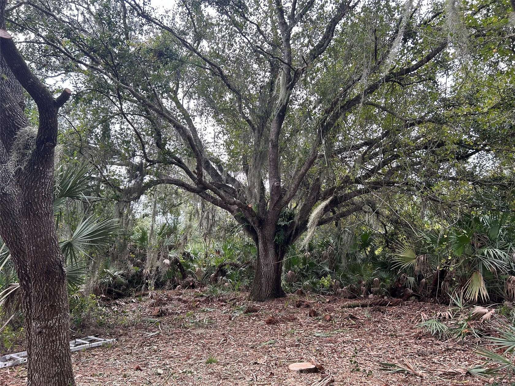 1.25 Acres of Land for Sale in Okeechobee, Florida