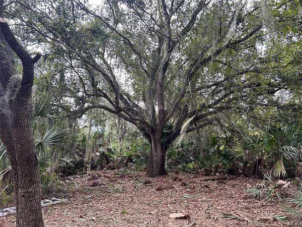 1.25 Acres of Land for Sale in Okeechobee, Florida