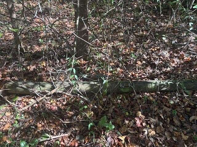 0.18 Acres of Residential Land for Sale in Umatilla, Florida