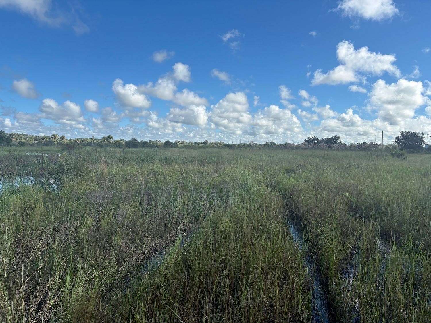 5 Acres of Land for Sale in Okeechobee, Florida