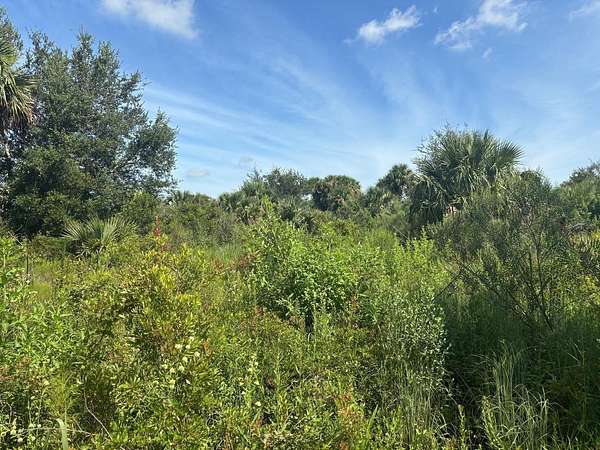 2.5 Acres of Land for Sale in Okeechobee, Florida
