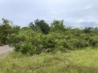 1.25 Acres of Land for Sale in Lake Wales, Florida