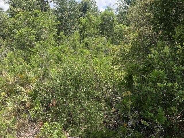 1.25 Acres of Land for Sale in Frostproof, Florida