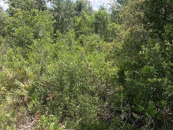 1.25 Acres of Land for Sale in Frostproof, Florida
