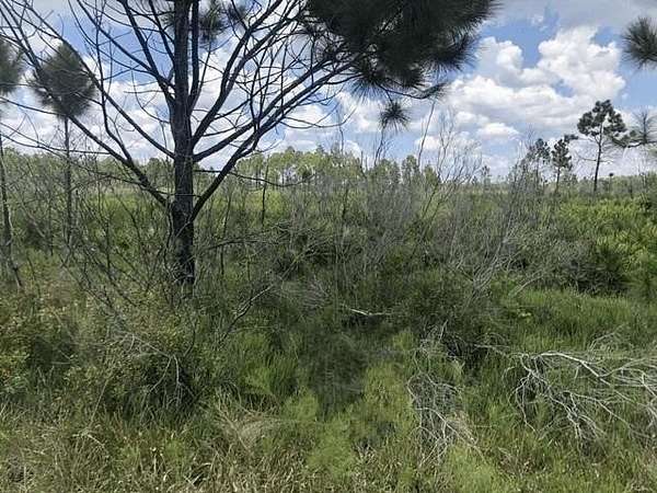 1.25 Acres of Land for Sale in Frostproof, Florida
