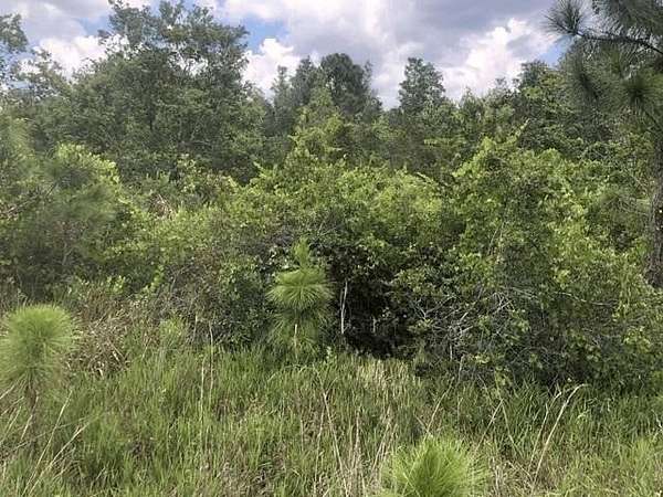 1.25 Acres of Land for Sale in Frostproof, Florida