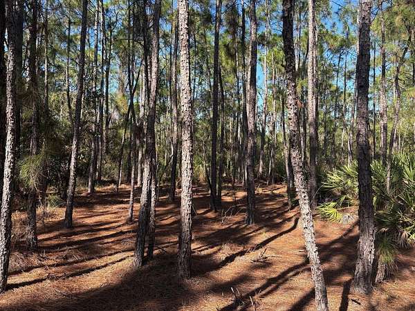 0.17 Acres of Land for Sale in St. Cloud, Florida