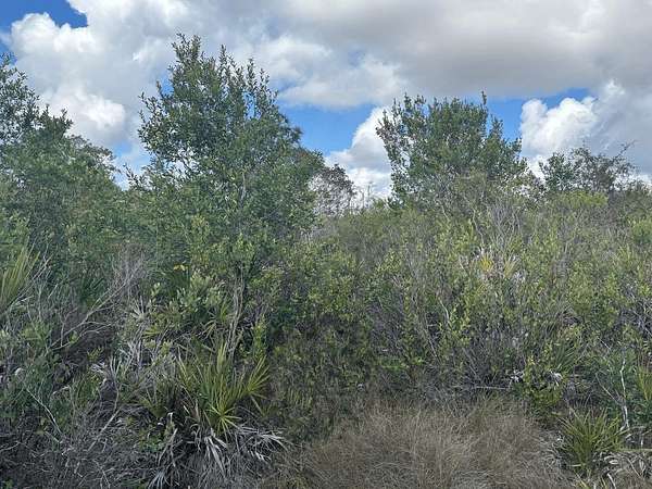 1.26 Acres of Land for Sale in Kathleen, Florida