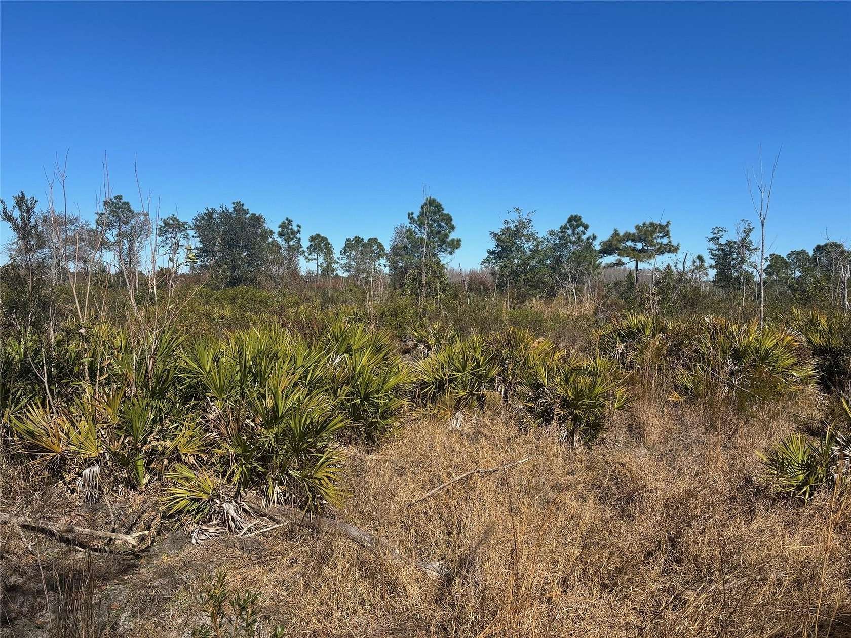 1.25 Acres of Land for Sale in Frostproof, Florida
