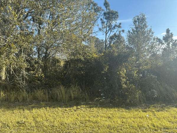 0.34 Acres of Land for Sale in Okeechobee, Florida