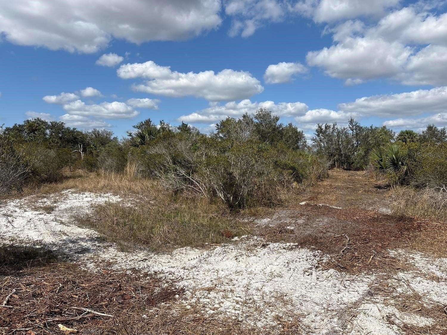 1.25 Acres of Land for Sale in Okeechobee, Florida