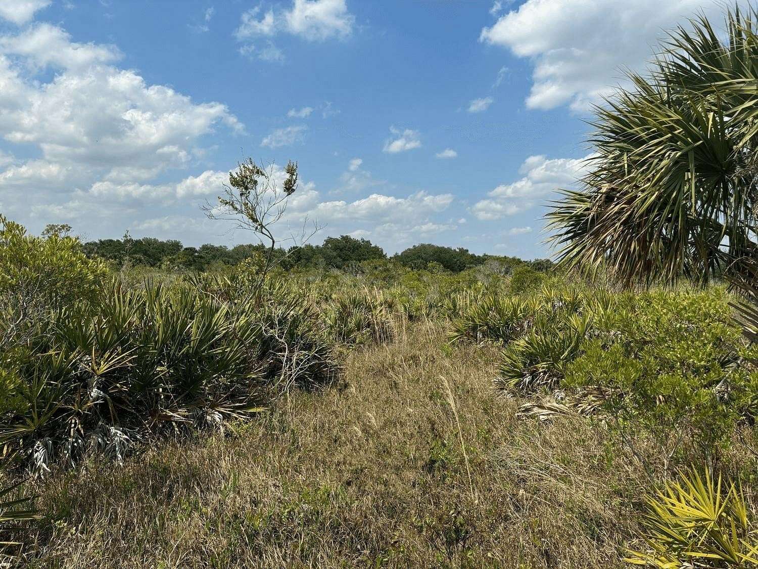 5 Acres of Land for Sale in Okeechobee, Florida