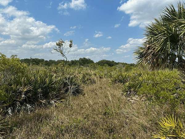 5 Acres of Land for Sale in Okeechobee, Florida