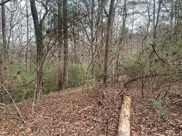 1 Acre of Residential Land for Sale in Westville, Florida