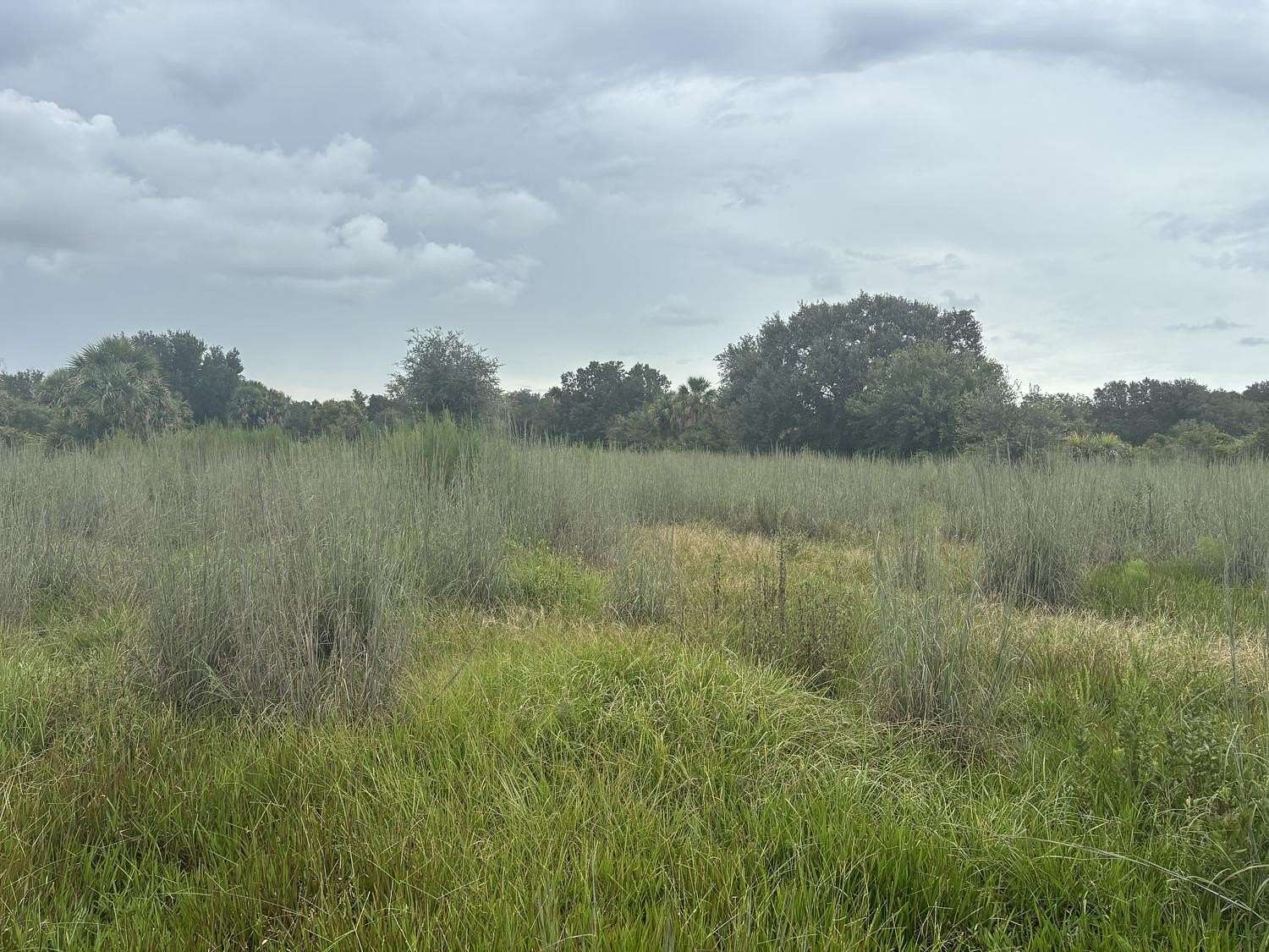 3 Acres of Land for Sale in Okeechobee, Florida
