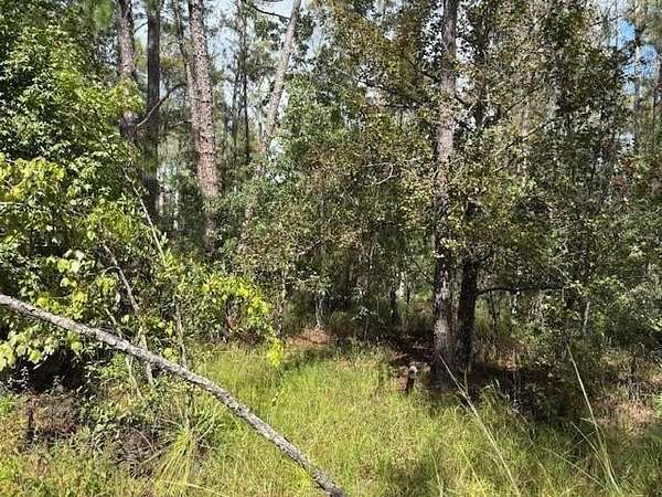 1.29 Acres of Land for Sale in Kathleen, Florida