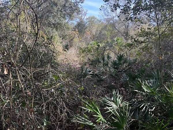 1.27 Acres of Land for Sale in Kathleen, Florida