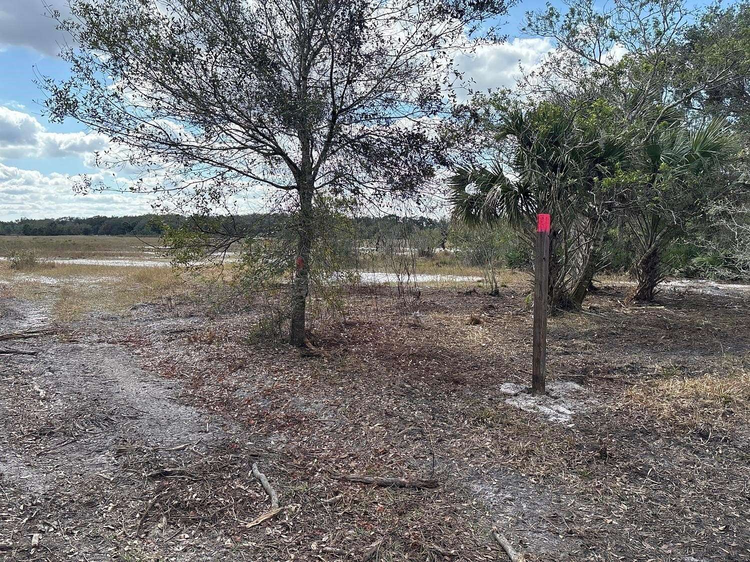 1.25 Acres of Land for Sale in Okeechobee, Florida