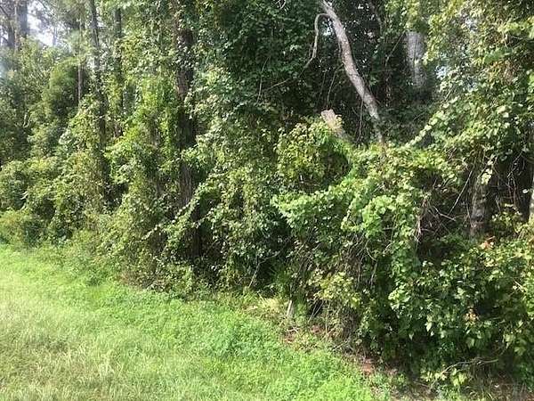 0.74 Acres of Land for Sale in Clermont, Florida