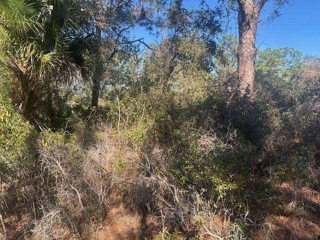 0.23 Acres of Residential Land for Sale in Lake Placid, Florida