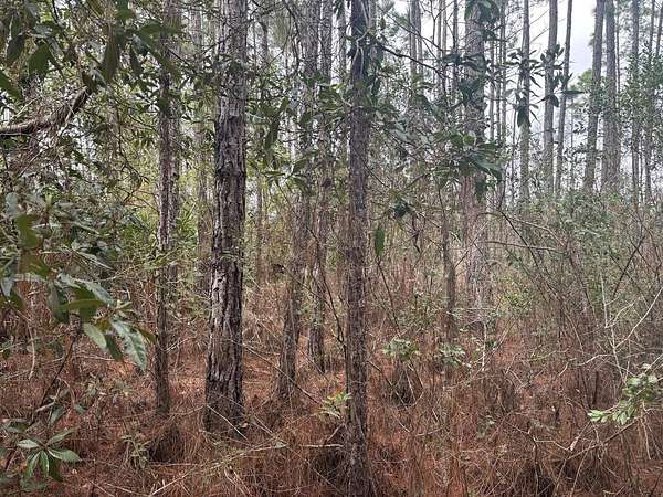 1 Acre of Land for Sale in Polk City, Florida