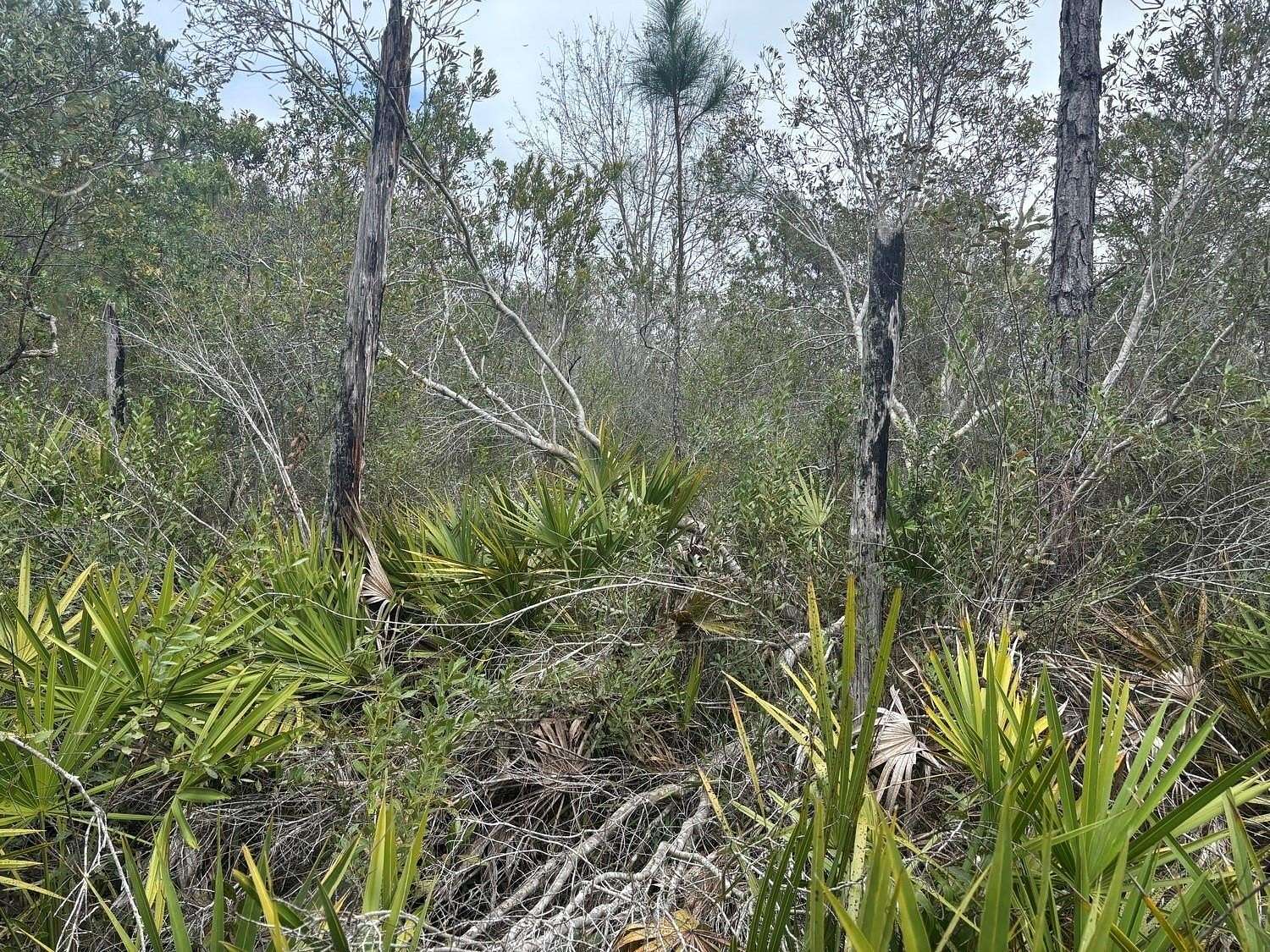 1 Acre of Land for Sale in Polk City, Florida
