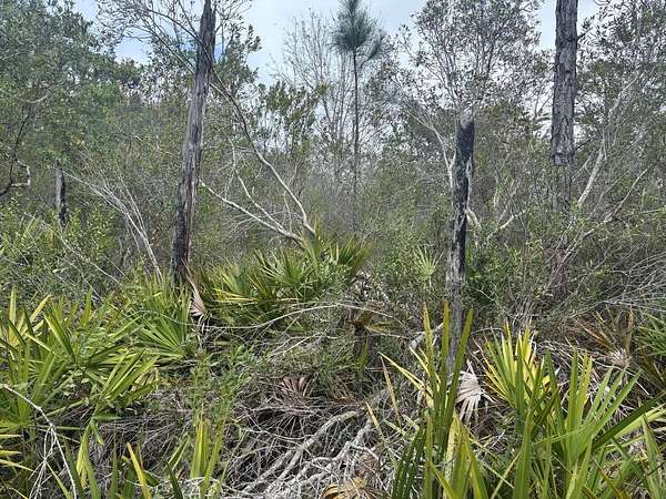 1 Acre of Land for Sale in Polk City, Florida