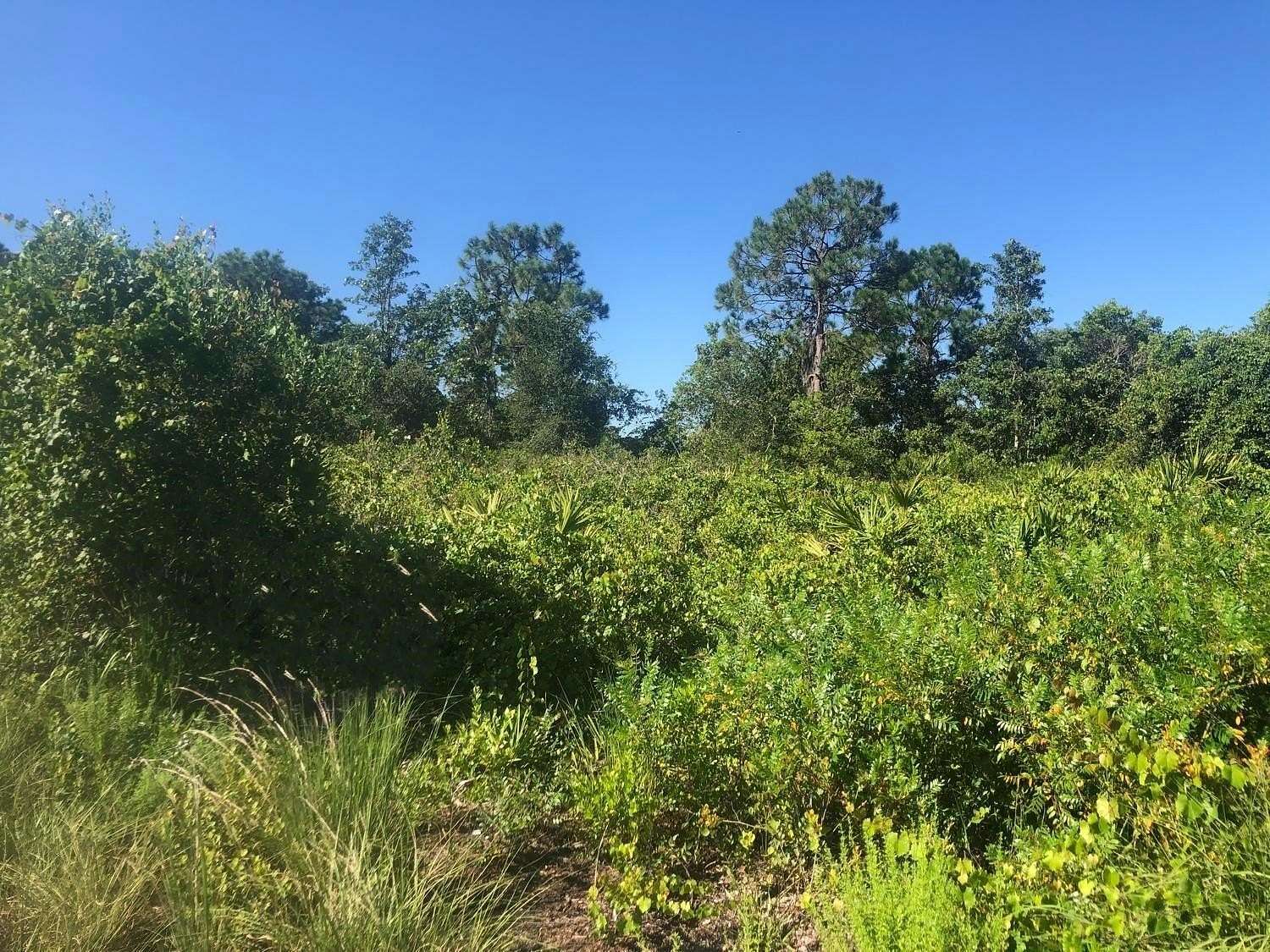 0.24 Acres of Residential Land for Sale in Avon Park, Florida