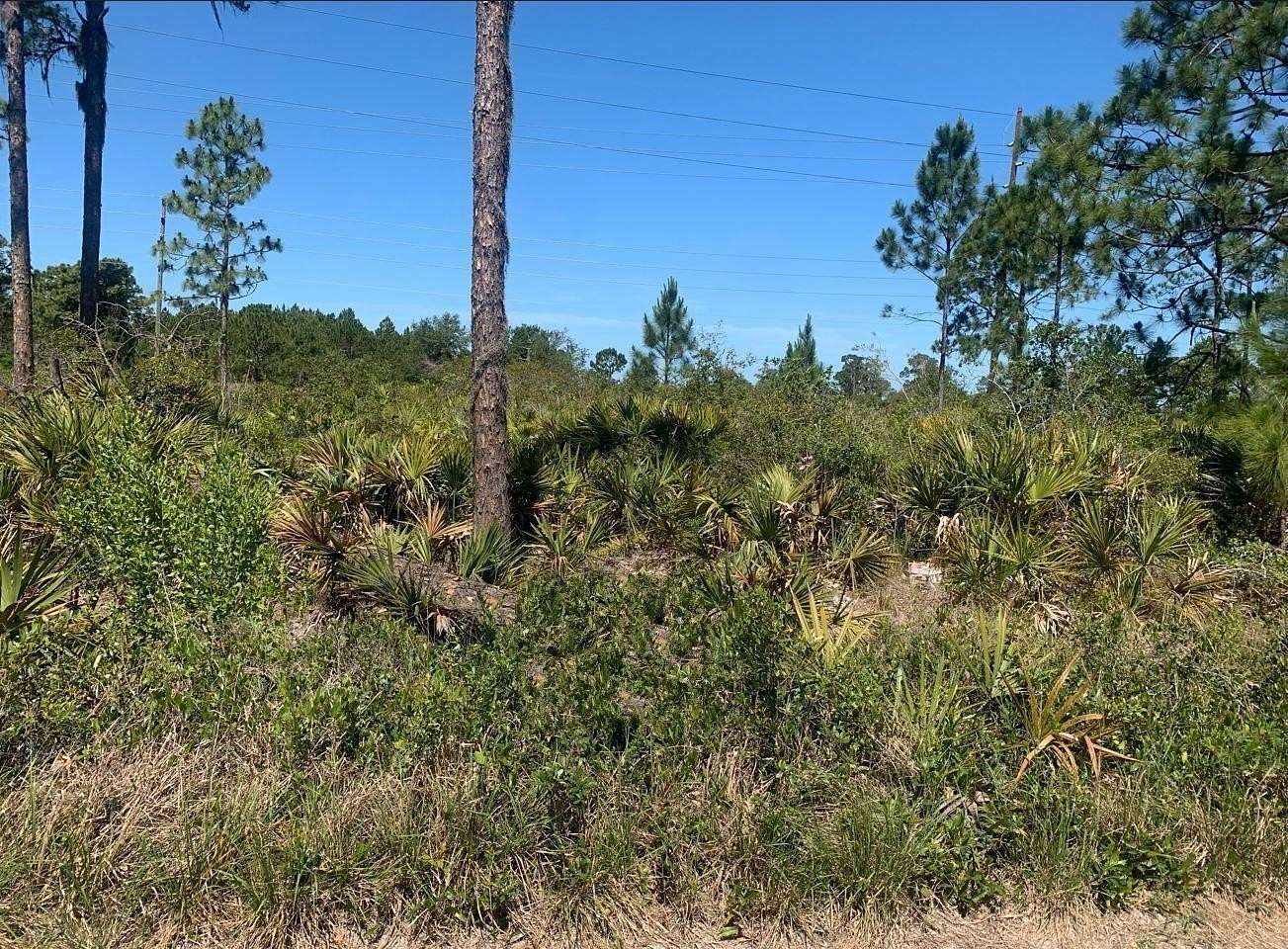 0.25 Acres of Residential Land for Sale in Sebring, Florida