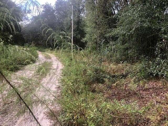 0.32 Acres of Residential Land for Sale in Satsuma, Florida