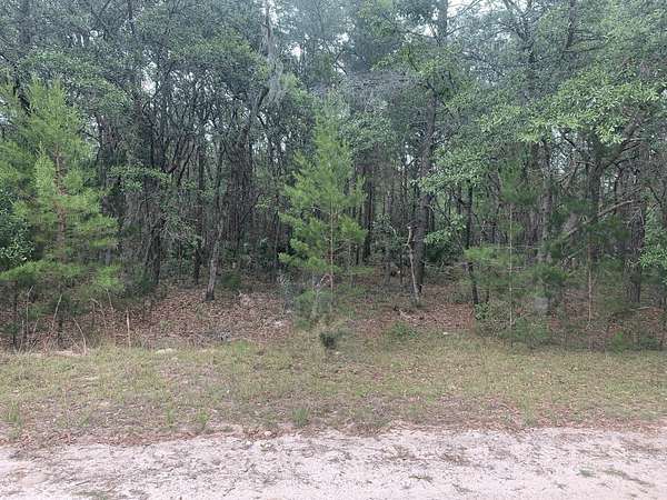 0.22 Acres of Land for Sale in Interlachen, Florida