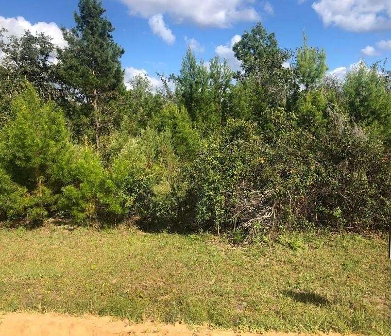 0.22 Acres of Residential Land for Sale in Interlachen, Florida
