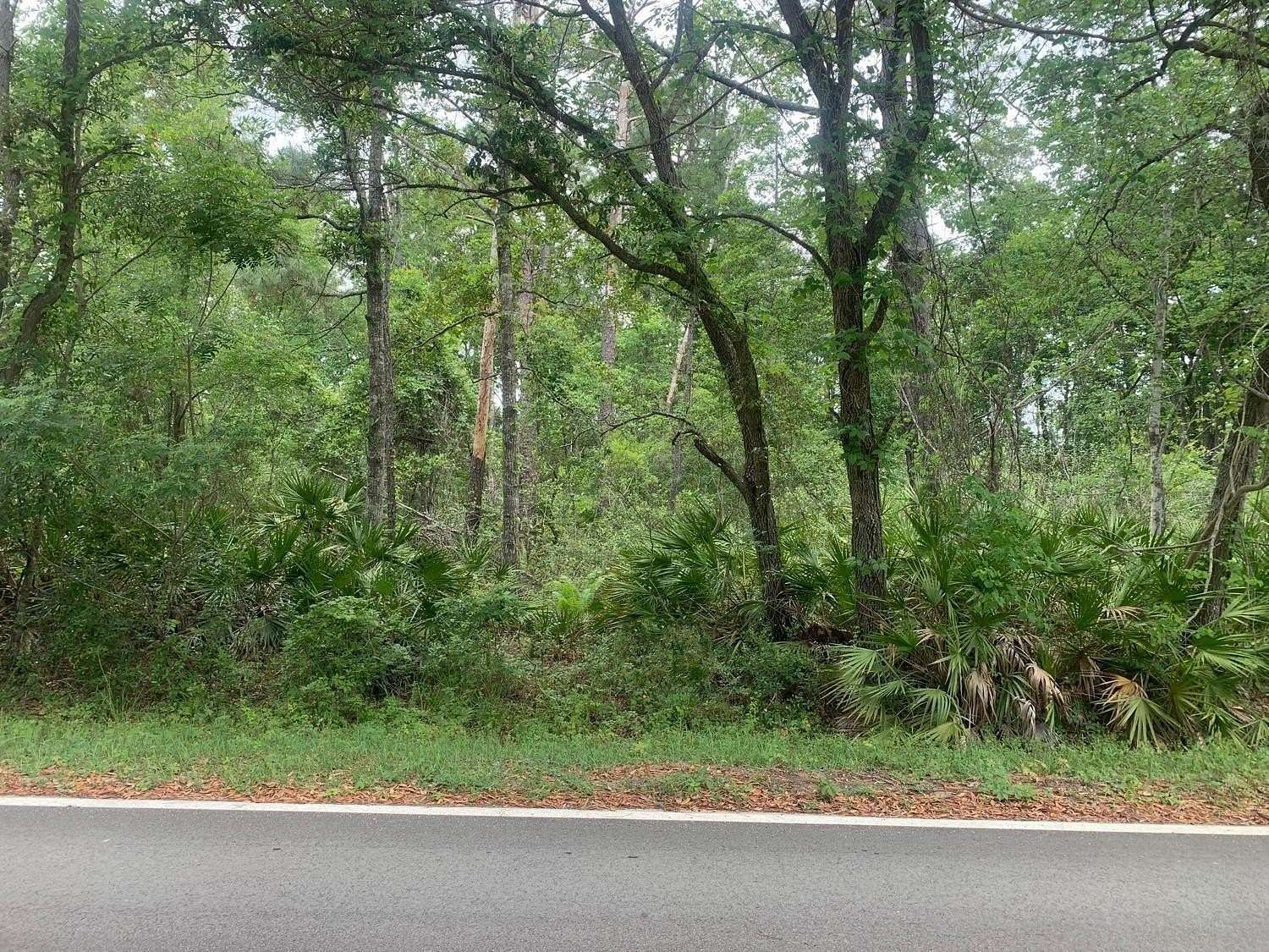 0.22 Acres of Residential Land for Sale in Interlachen, Florida