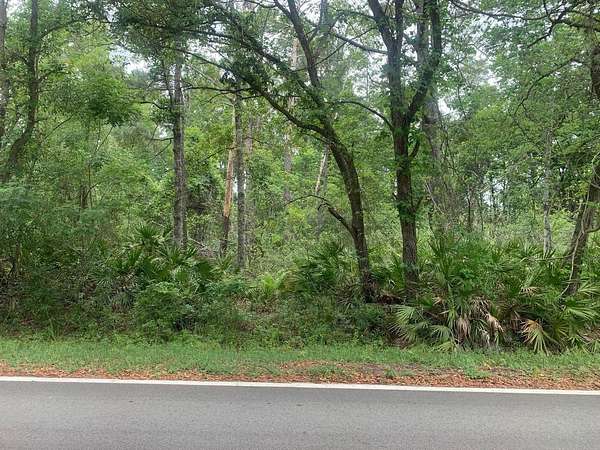 0.22 Acres of Residential Land for Sale in Interlachen, Florida