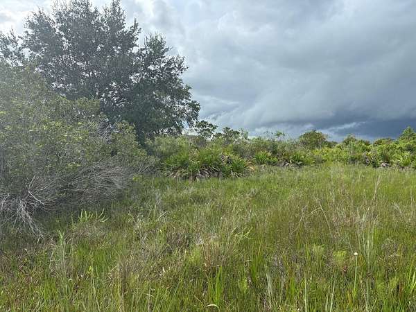 2.5 Acres of Land for Sale in Okeechobee, Florida