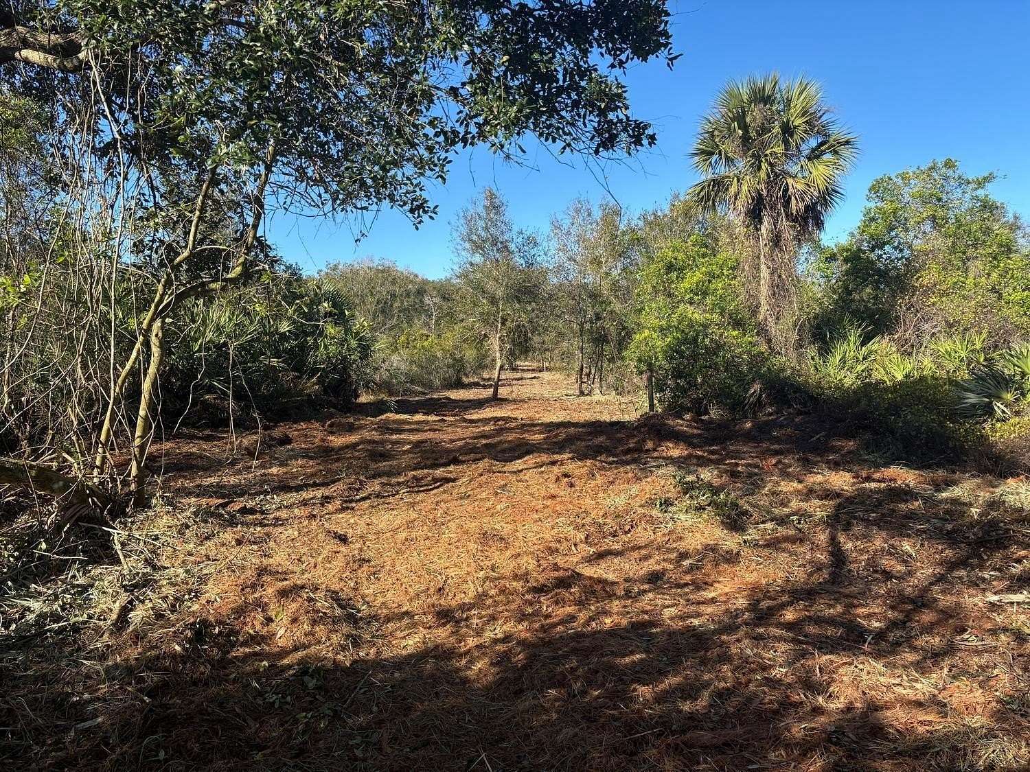 5 Acres of Land for Sale in Okeechobee, Florida