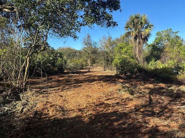 5 Acres of Land for Sale in Okeechobee, Florida