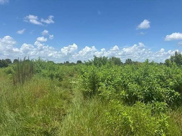 1.25 Acres of Land for Sale in Okeechobee, Florida