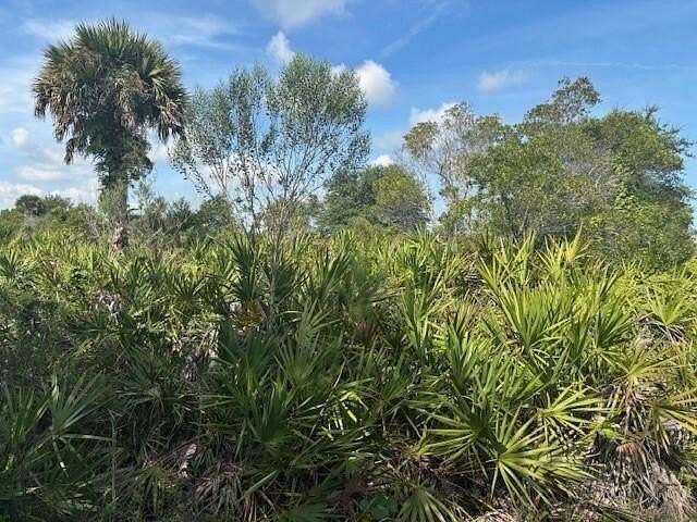 1.25 Acres of Land for Sale in Okeechobee, Florida
