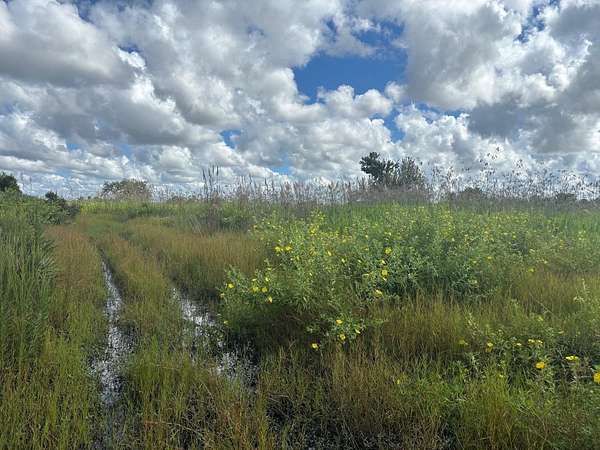 5 Acres of Recreational Land for Sale in Okeechobee, Florida