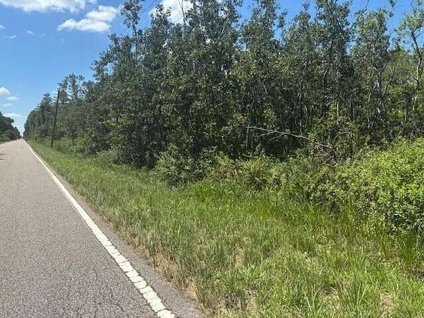 1.17 Acres of Land for Sale in Polk City, Florida