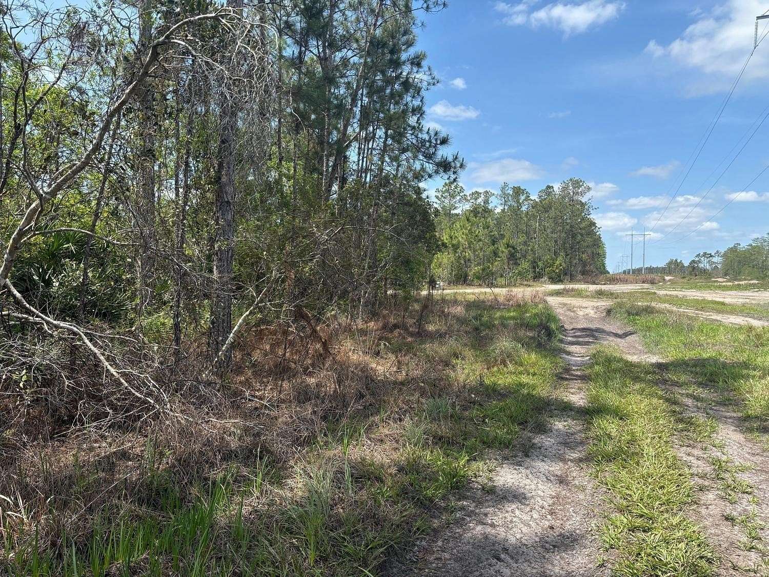 1.25 Acres of Land for Sale in St. Cloud, Florida
