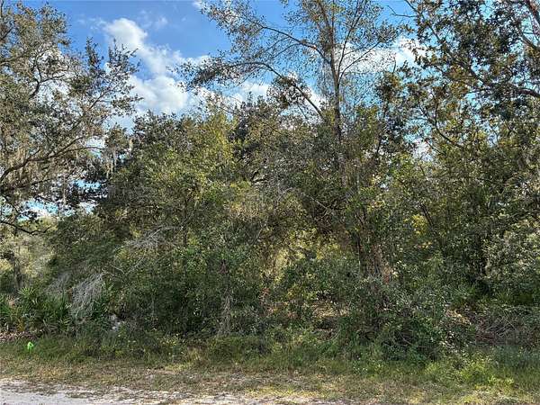 0.5 Acres of Residential Land for Sale in Indian Lake Estates, Florida