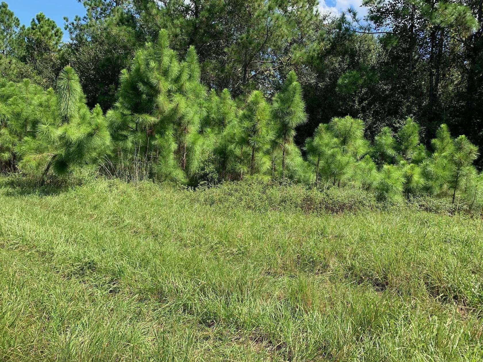 2 Acres of Land for Sale in Polk City, Florida