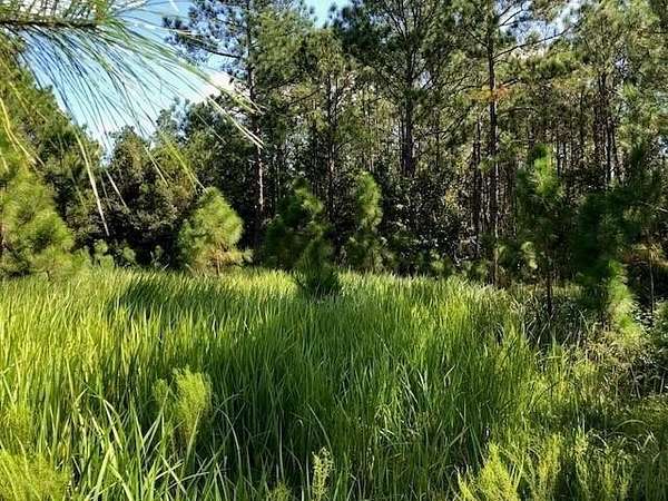 1 Acre of Land for Sale in Polk City, Florida