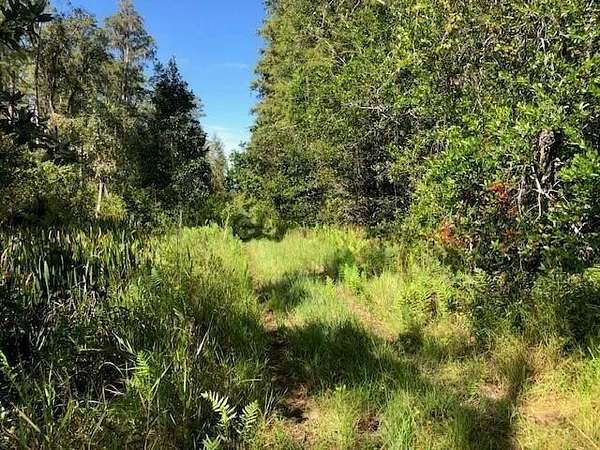 1 Acre of Land for Sale in Polk City, Florida