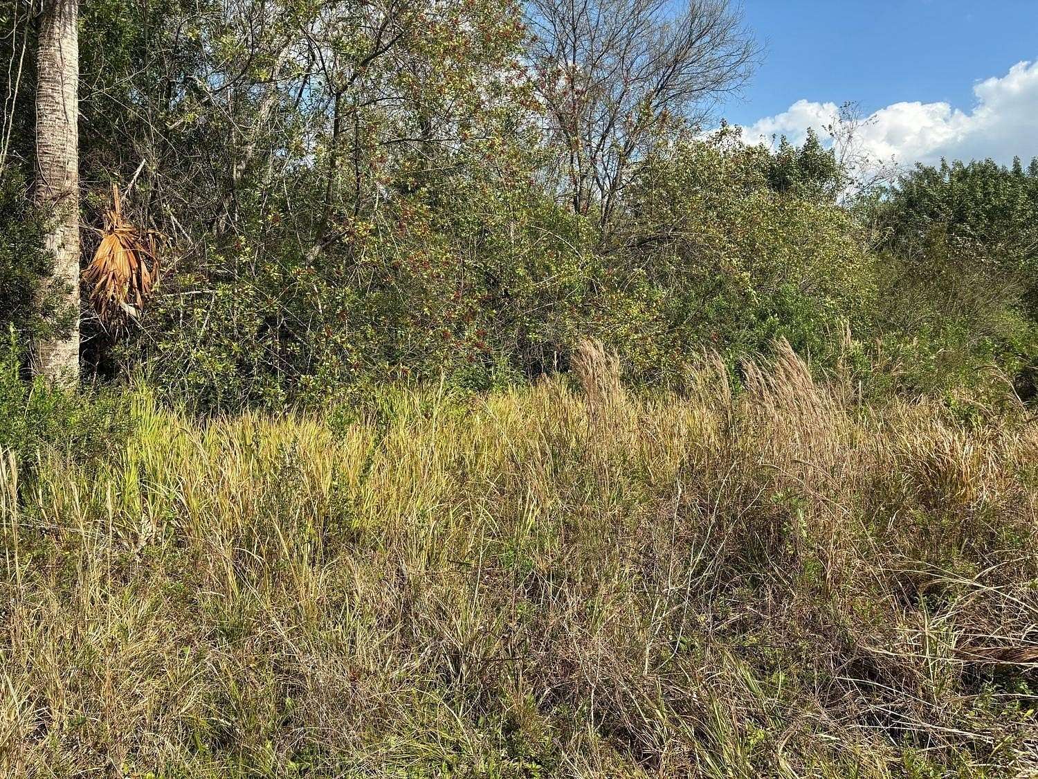 0.19 Acres of Residential Land for Sale in Okeechobee, Florida