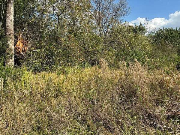 0.19 Acres of Residential Land for Sale in Okeechobee, Florida
